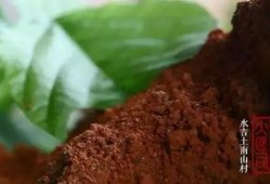 有点料官网,解锁生活新趣味