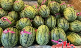 网红大瓜等你来开.热点黑料,热点黑料背后的真相与反思