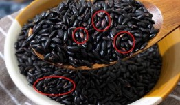 黑料不打料入口