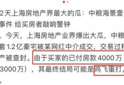 网红大瓜小说免费阅读,免费阅读背后的秘密与诱惑