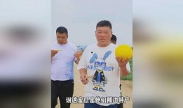 今日吃瓜体育生男友,揭秘校园恋情背后的甜蜜与挑战