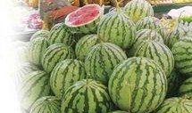 今日吃瓜感悟,品味人间百态