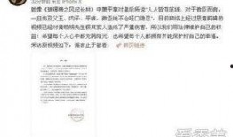 明星资讯是什么意思,揭秘娱乐圈最新动态