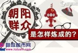 c朝阳群众,守护首都安宁的民间力量