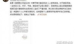 明星资讯是什么意思,揭秘娱乐圈最新动态